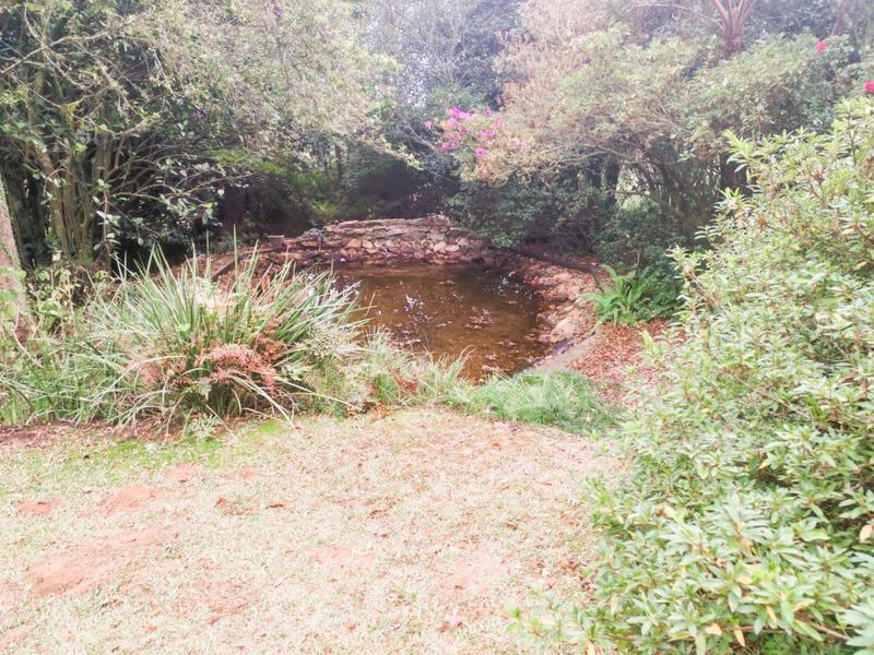 5 Bedroom Property for Sale in Tzaneen Rural Limpopo