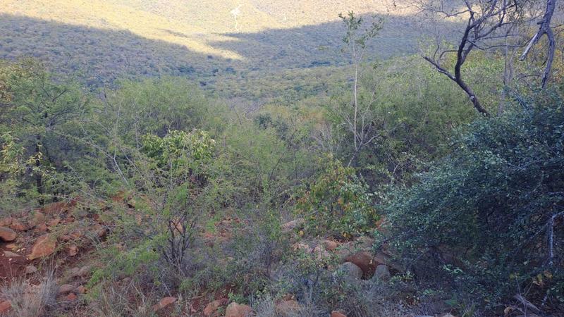 0 Bedroom Property for Sale in Groblersdal Limpopo