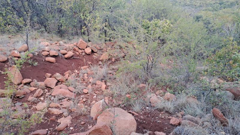 0 Bedroom Property for Sale in Groblersdal Limpopo