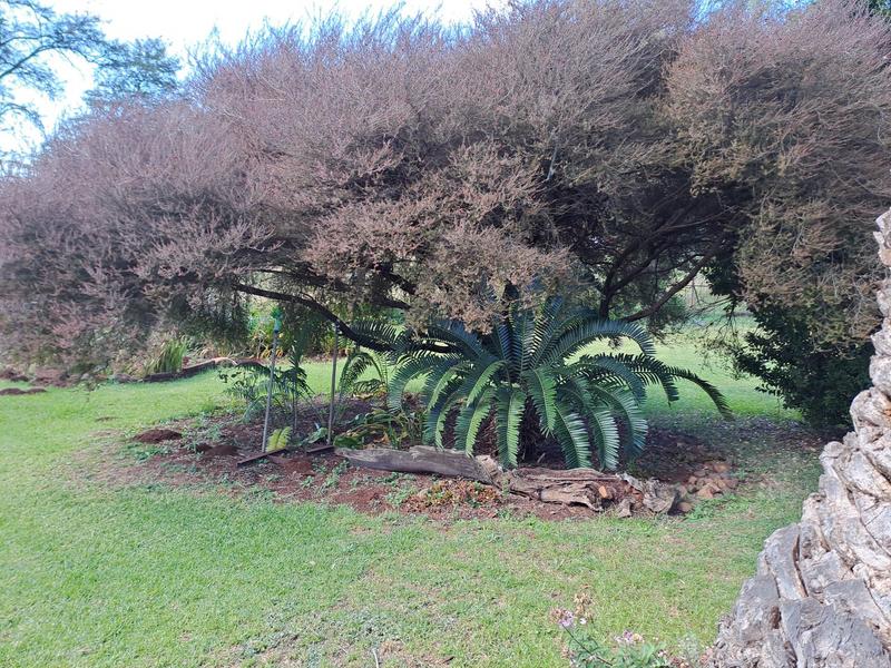 0 Bedroom Property for Sale in Groblersdal Limpopo
