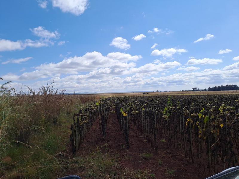 0 Bedroom Property for Sale in Groblersdal Limpopo