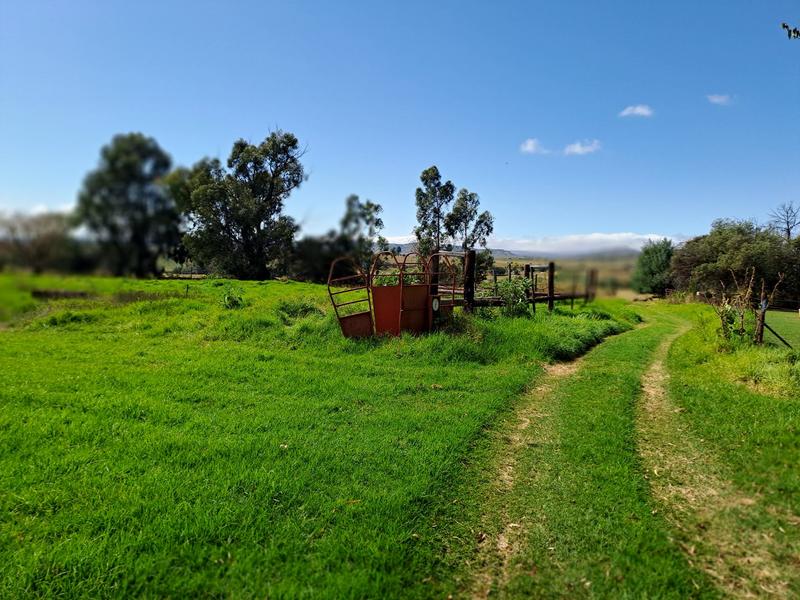 0 Bedroom Property for Sale in Groblersdal Limpopo