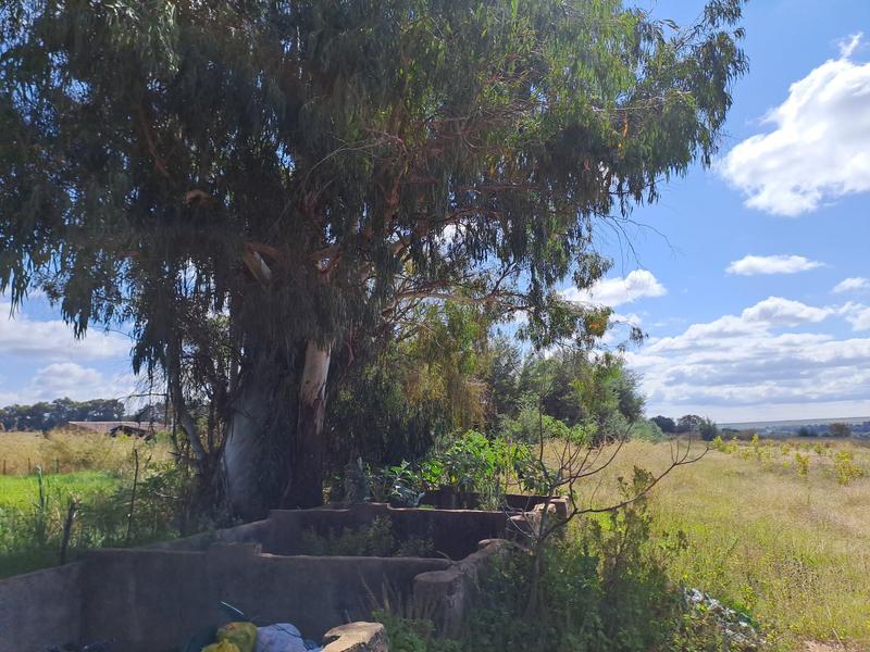 0 Bedroom Property for Sale in Groblersdal Limpopo
