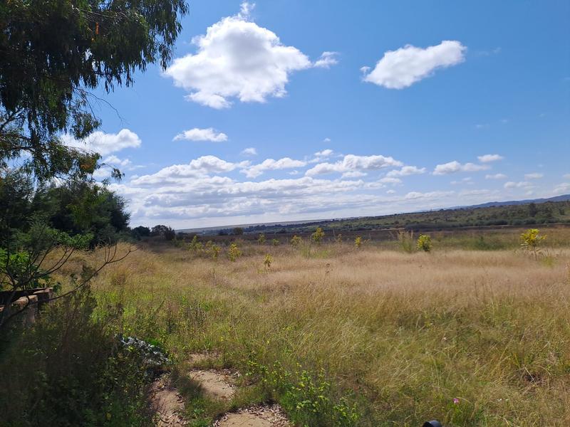 0 Bedroom Property for Sale in Groblersdal Limpopo