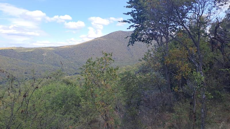 0 Bedroom Property for Sale in Groblersdal Limpopo