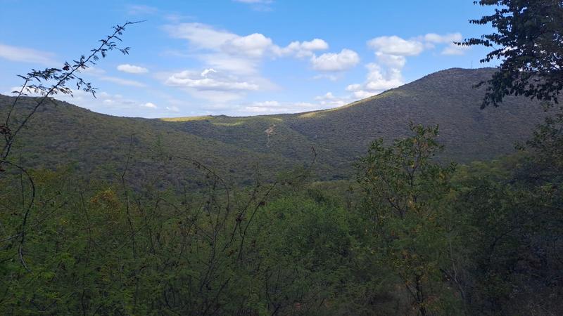 0 Bedroom Property for Sale in Groblersdal Limpopo