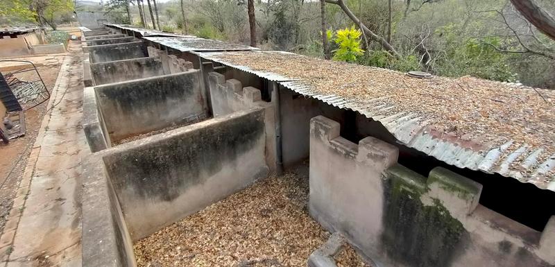 0 Bedroom Property for Sale in Groblersdal Limpopo