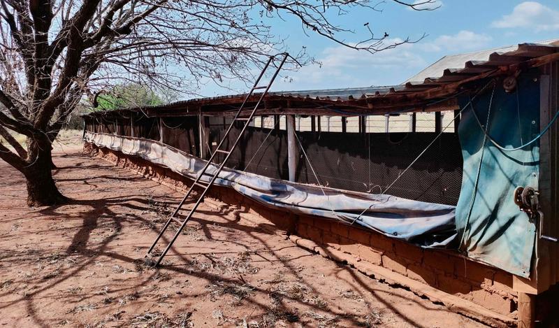 0 Bedroom Property for Sale in Groblersdal Limpopo