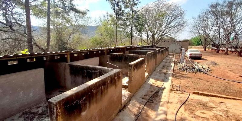 0 Bedroom Property for Sale in Groblersdal Limpopo