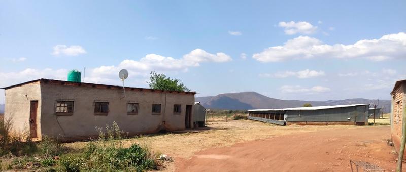 0 Bedroom Property for Sale in Groblersdal Limpopo