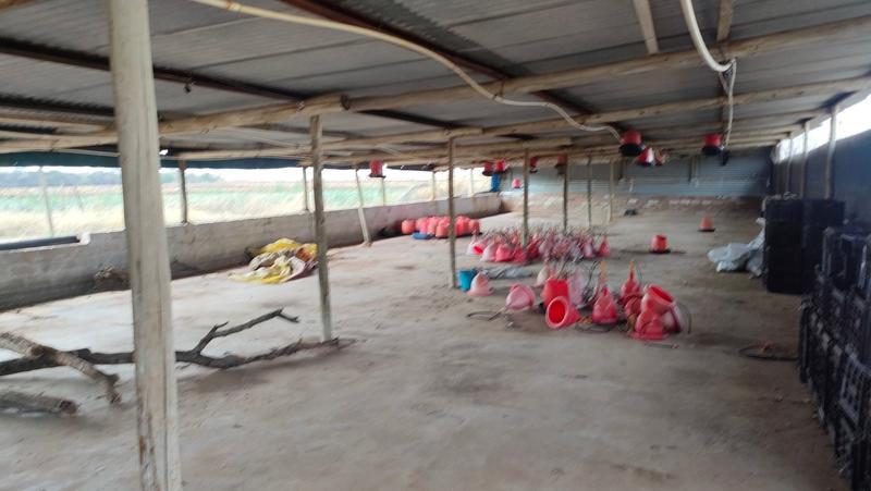 0 Bedroom Property for Sale in Groblersdal Limpopo