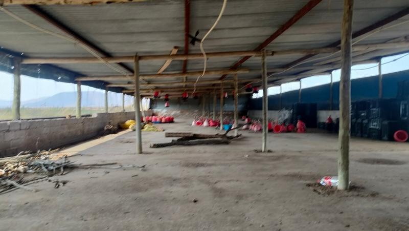 0 Bedroom Property for Sale in Groblersdal Limpopo