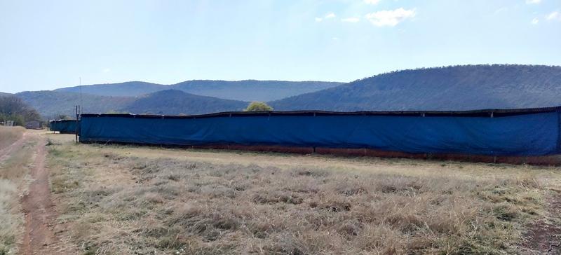 0 Bedroom Property for Sale in Groblersdal Limpopo