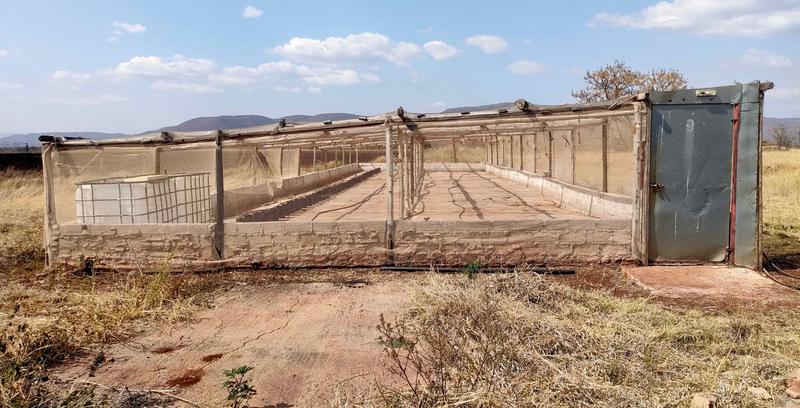 0 Bedroom Property for Sale in Groblersdal Limpopo