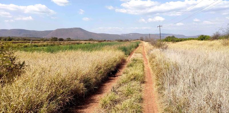 0 Bedroom Property for Sale in Groblersdal Limpopo