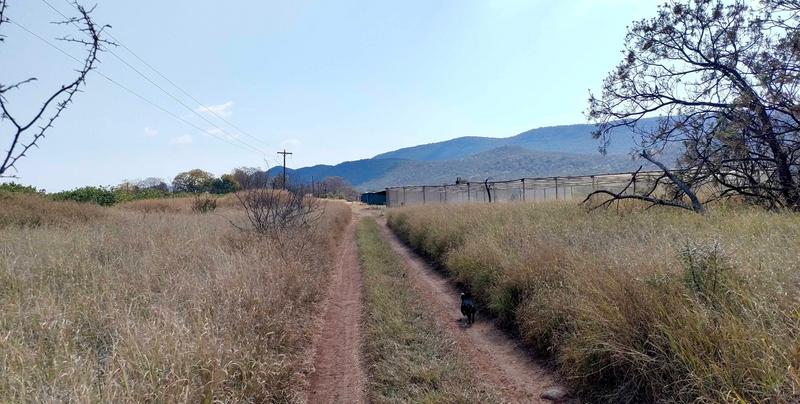 0 Bedroom Property for Sale in Groblersdal Limpopo