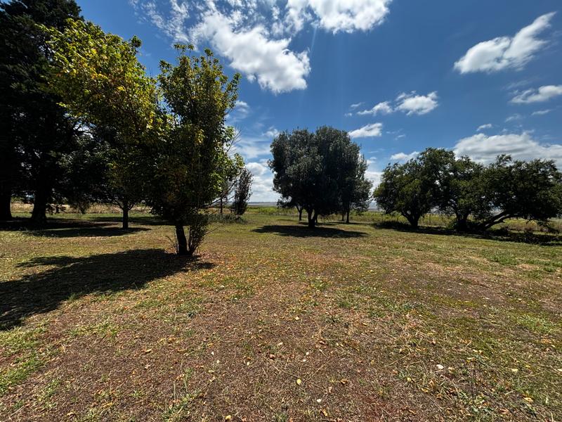 Commercial Property for Sale in Groblersdal Limpopo
