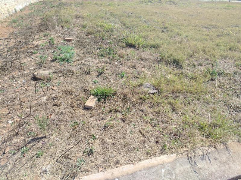0 Bedroom Property for Sale in Bendor Limpopo