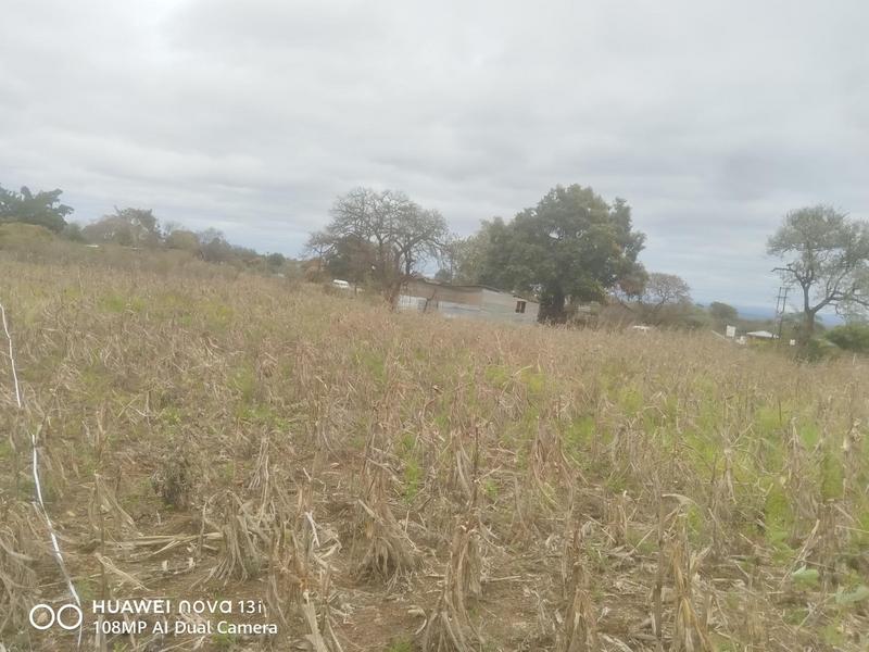 0 Bedroom Property for Sale in Malamulele Limpopo
