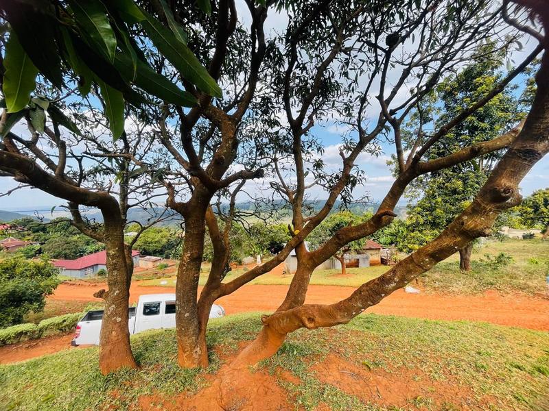 3 Bedroom Property for Sale in Phiphidi Limpopo