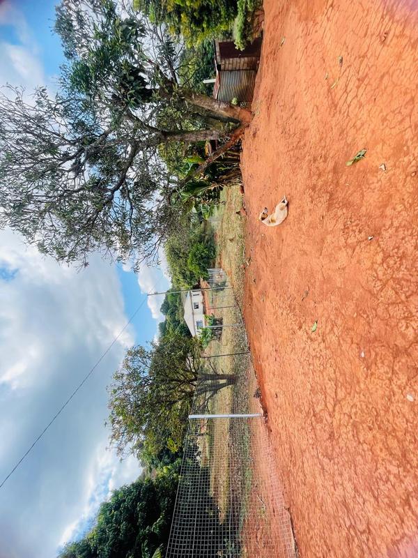 3 Bedroom Property for Sale in Phiphidi Limpopo