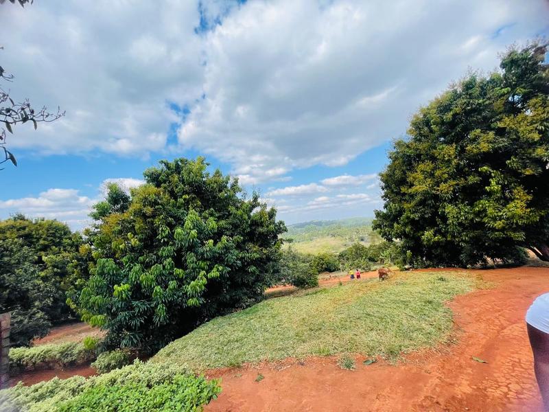 3 Bedroom Property for Sale in Phiphidi Limpopo