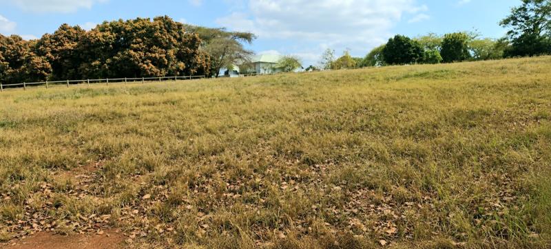 0 Bedroom Property for Sale in Doornhoek Equestrian Estate Limpopo