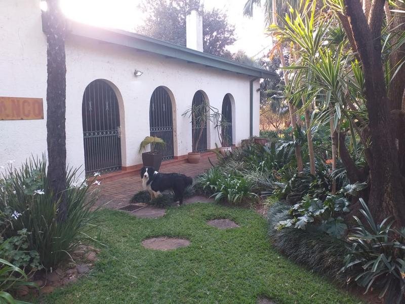 To Let 4 Bedroom Property for Rent in Mokopane Limpopo