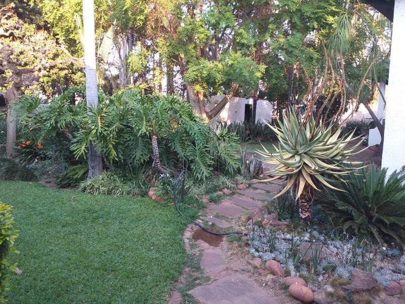 To Let 4 Bedroom Property for Rent in Mokopane Limpopo