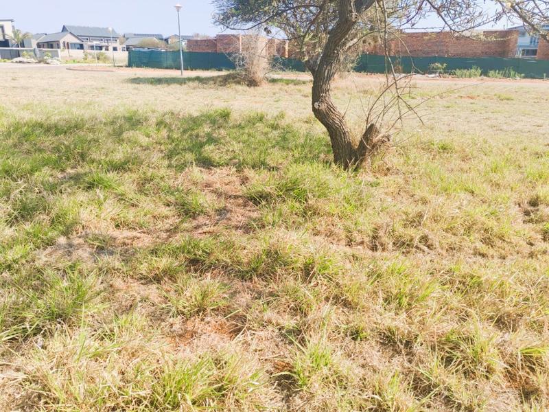 0 Bedroom Property for Sale in The Aloes Lifestyle Estate Limpopo