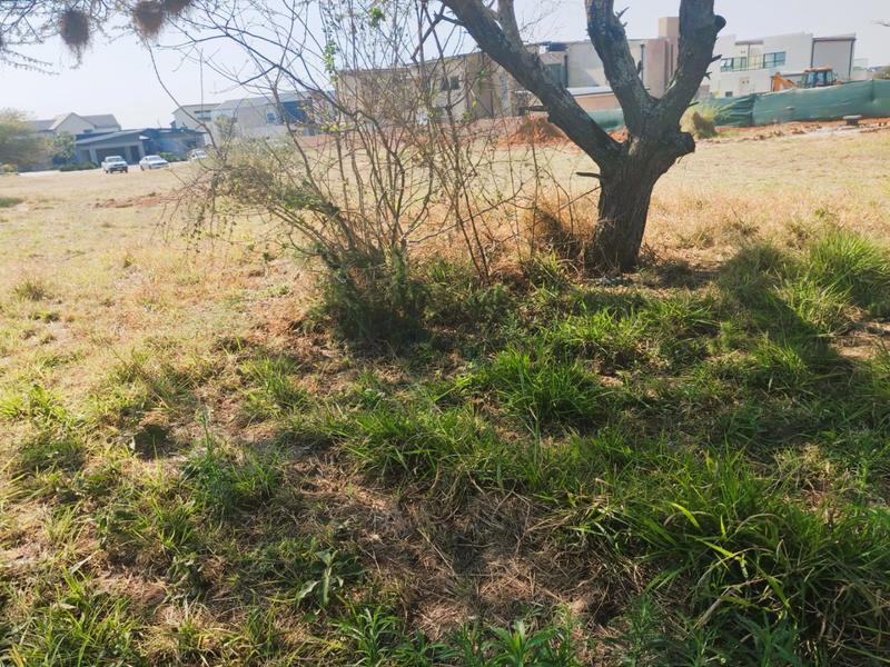0 Bedroom Property for Sale in The Aloes Lifestyle Estate Limpopo