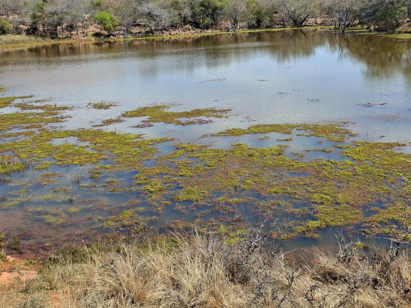 0 Bedroom Property for Sale in Lephalale Limpopo