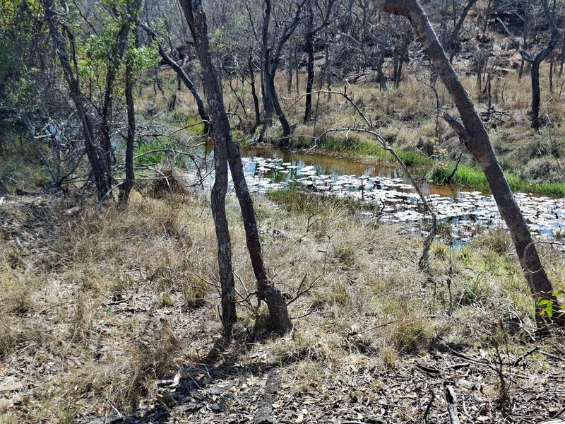 0 Bedroom Property for Sale in Lephalale Limpopo
