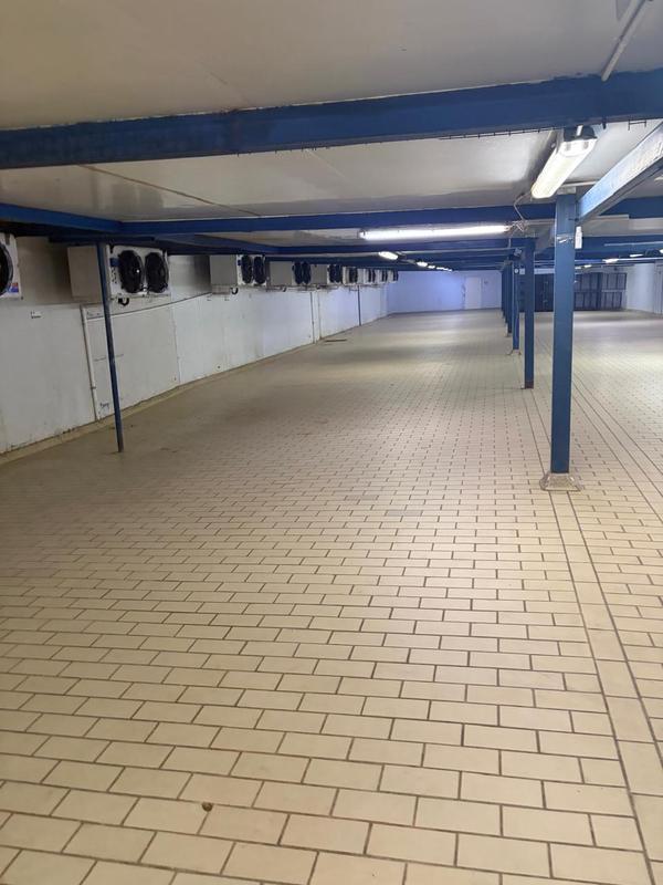 To Let Commercial Property for Rent in Mokopane Limpopo