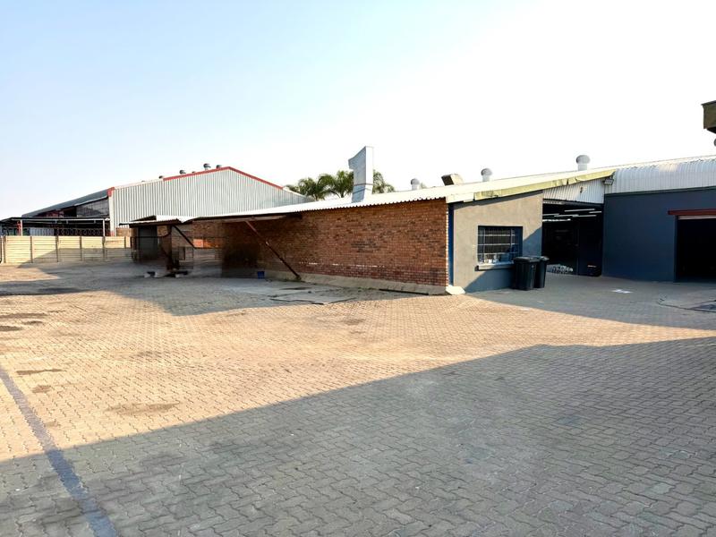 To Let Commercial Property for Rent in Ladine Limpopo