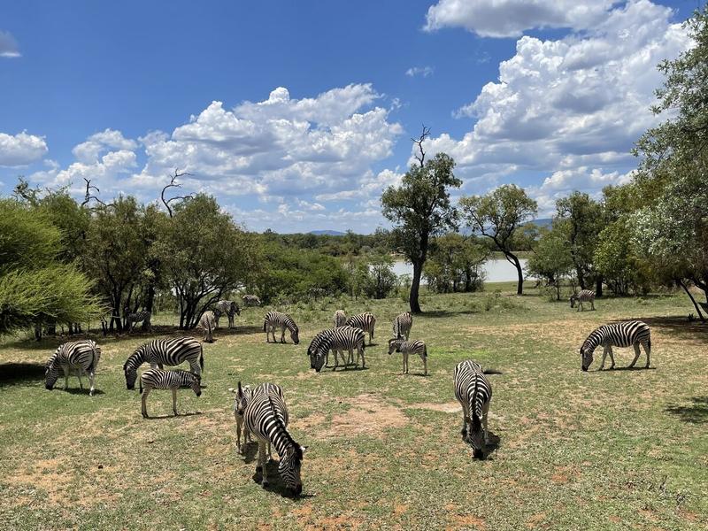 Commercial Property for Sale in Bela Bela Limpopo