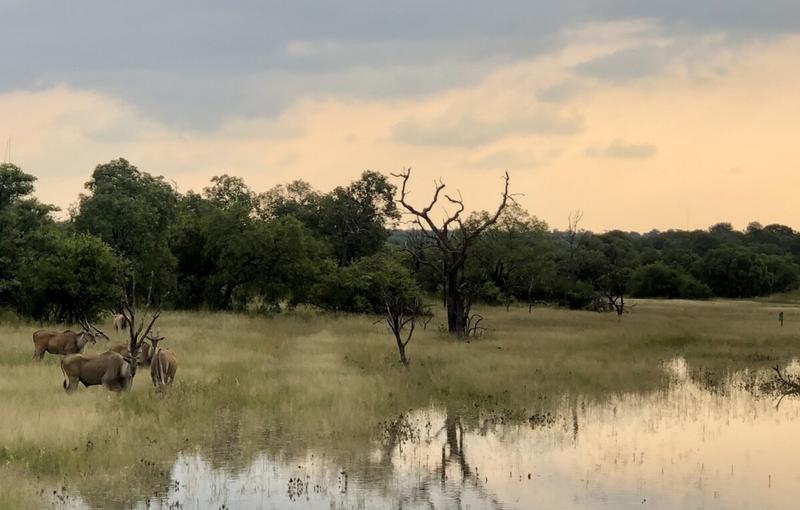 Commercial Property for Sale in Bela Bela Limpopo