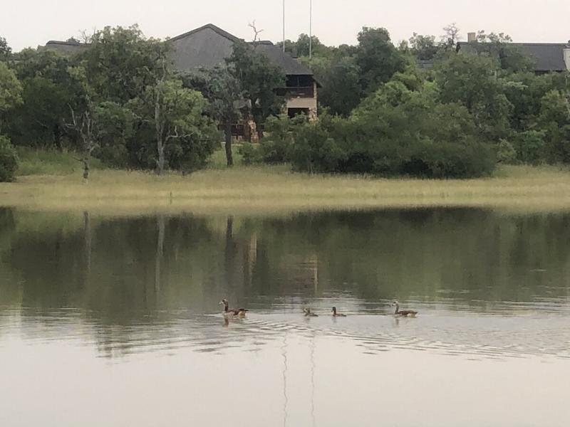 Commercial Property for Sale in Bela Bela Limpopo