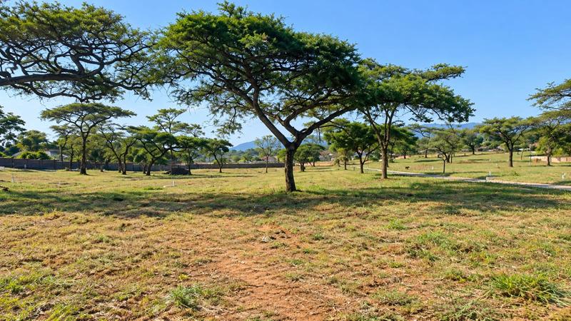 0 Bedroom Property for Sale in Fauna Park Limpopo