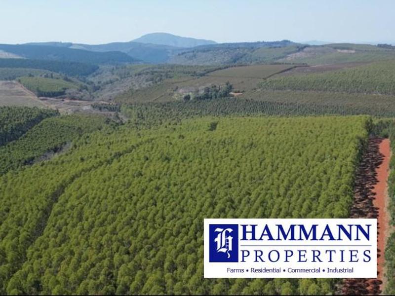 0 Bedroom Property for Sale in Louis Trichardt Limpopo