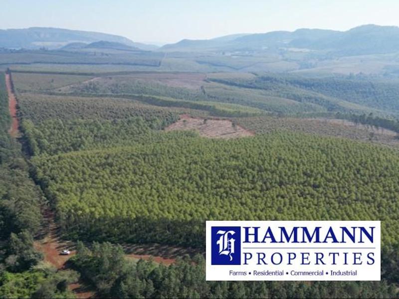 0 Bedroom Property for Sale in Louis Trichardt Limpopo