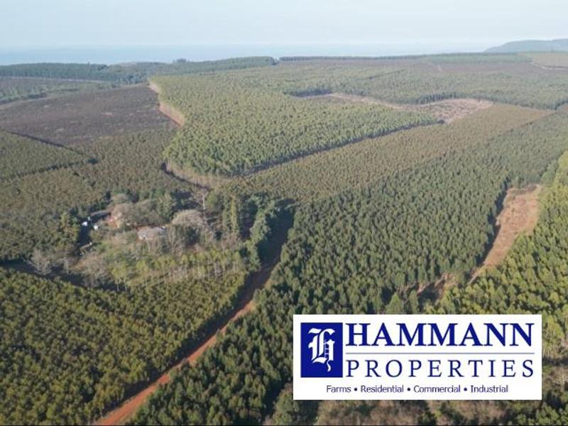 0 Bedroom Property for Sale in Louis Trichardt Limpopo