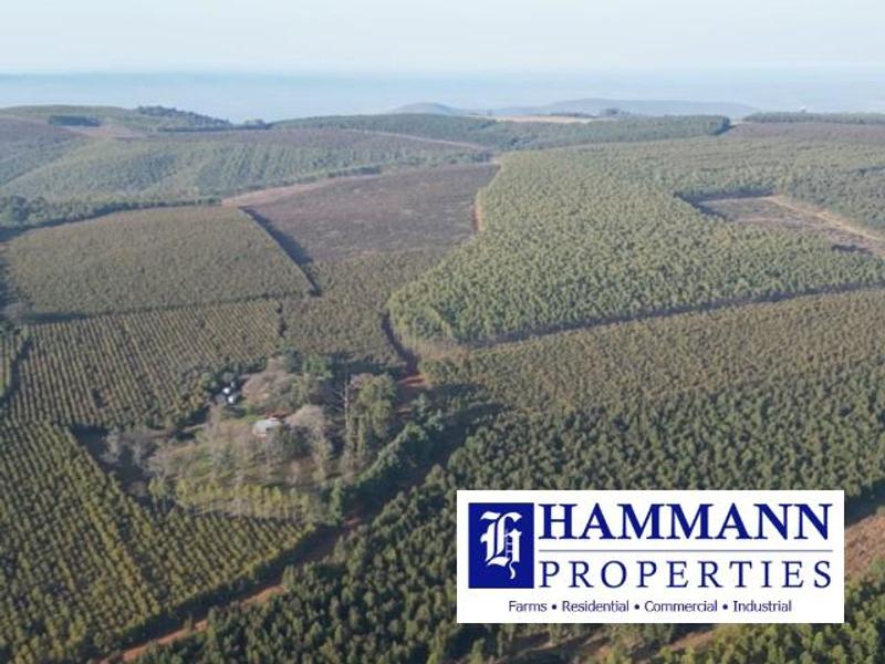 0 Bedroom Property for Sale in Louis Trichardt Limpopo