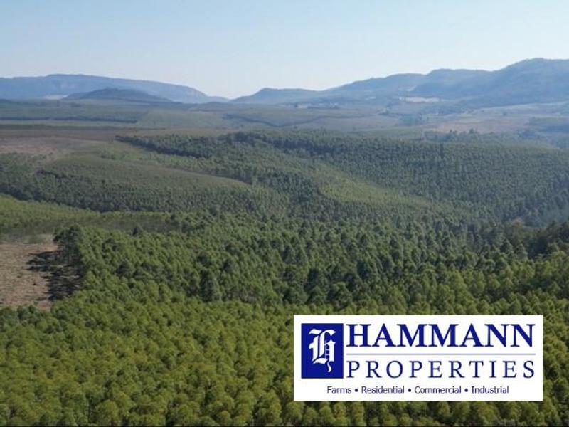 0 Bedroom Property for Sale in Louis Trichardt Limpopo