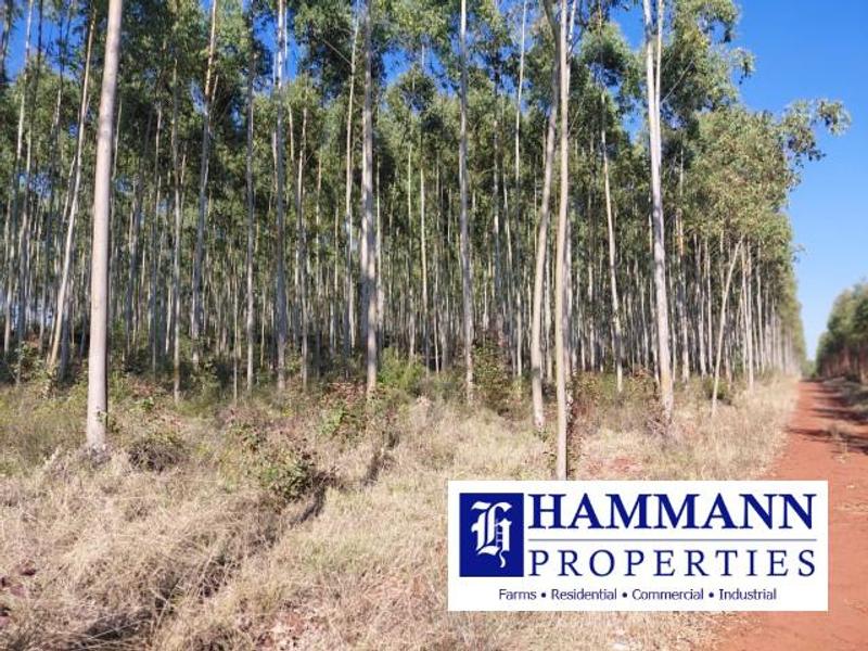 0 Bedroom Property for Sale in Louis Trichardt Limpopo