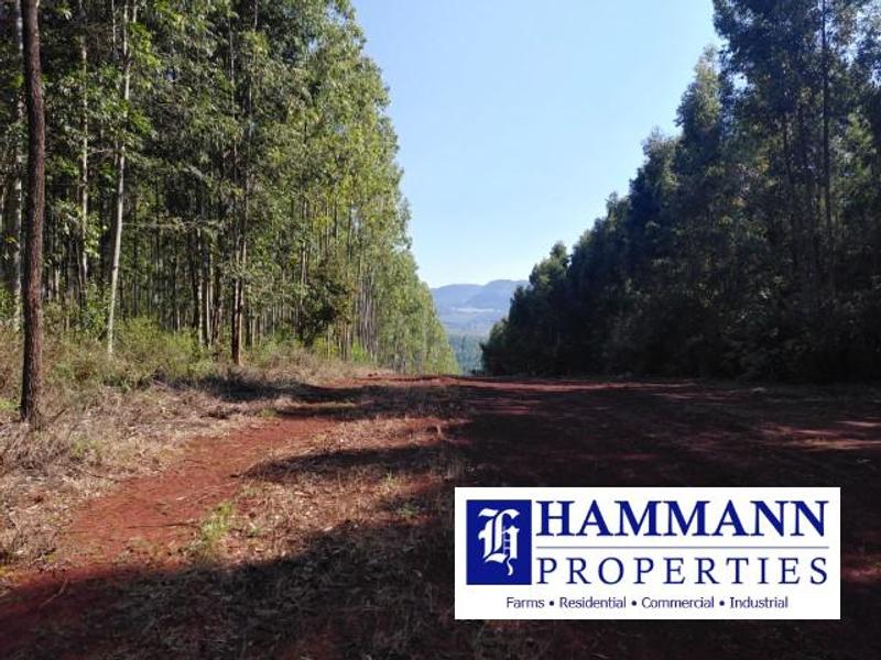 0 Bedroom Property for Sale in Louis Trichardt Limpopo