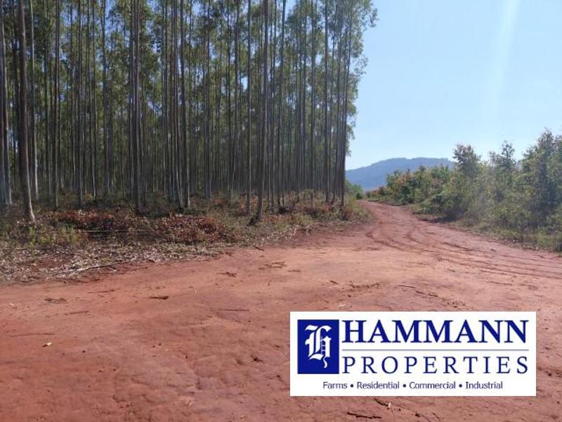 0 Bedroom Property for Sale in Louis Trichardt Limpopo