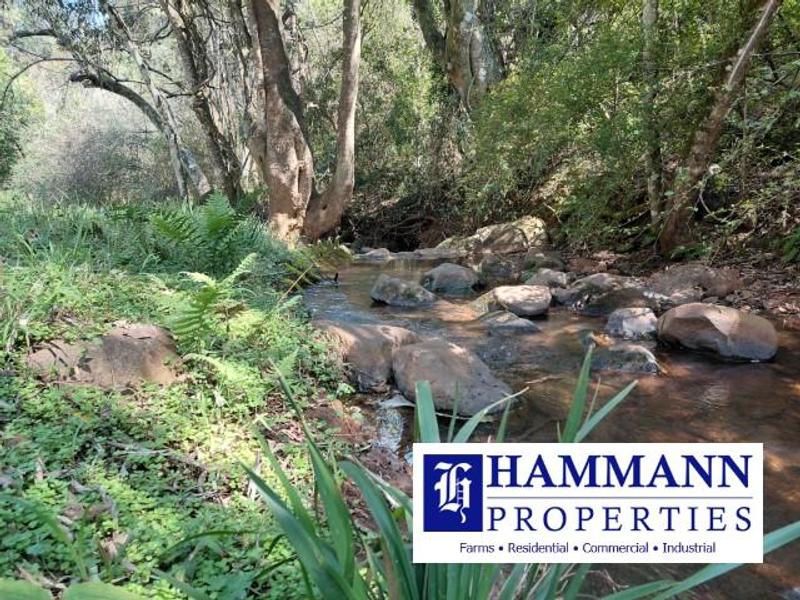 0 Bedroom Property for Sale in Louis Trichardt Limpopo