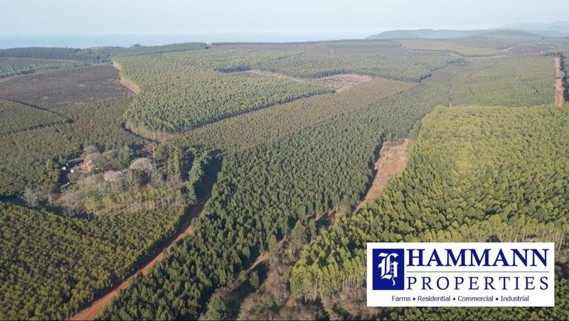 0 Bedroom Property for Sale in Louis Trichardt Limpopo