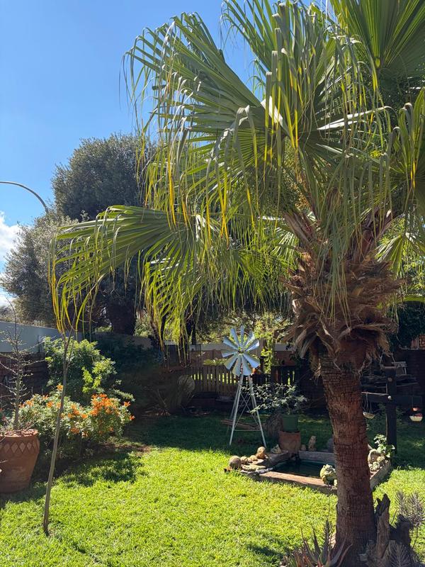 3 Bedroom Property for Sale in Mokopane Limpopo
